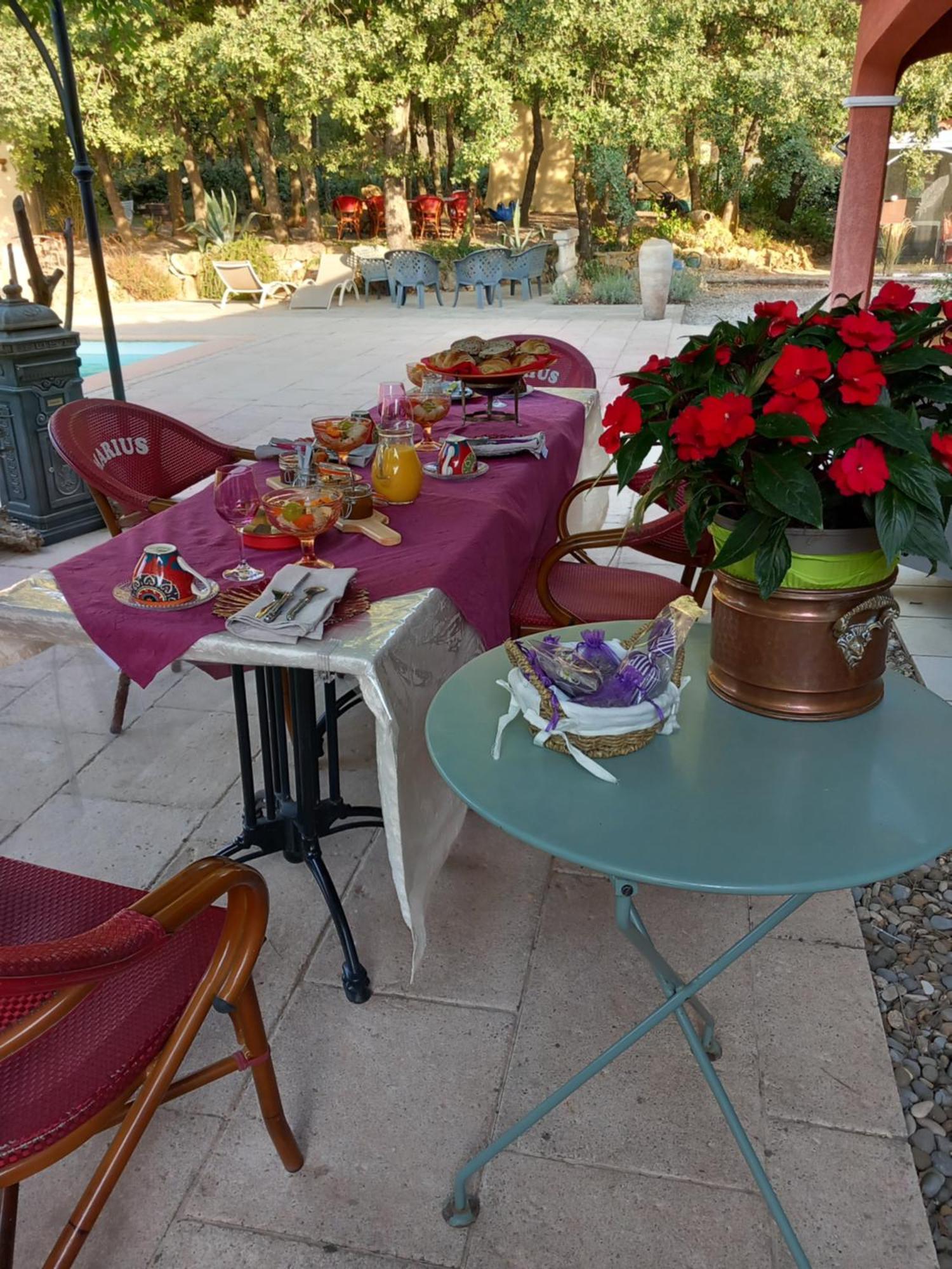 Bed and Breakfast Les Lézards au Soleil Draguignan Esterno foto